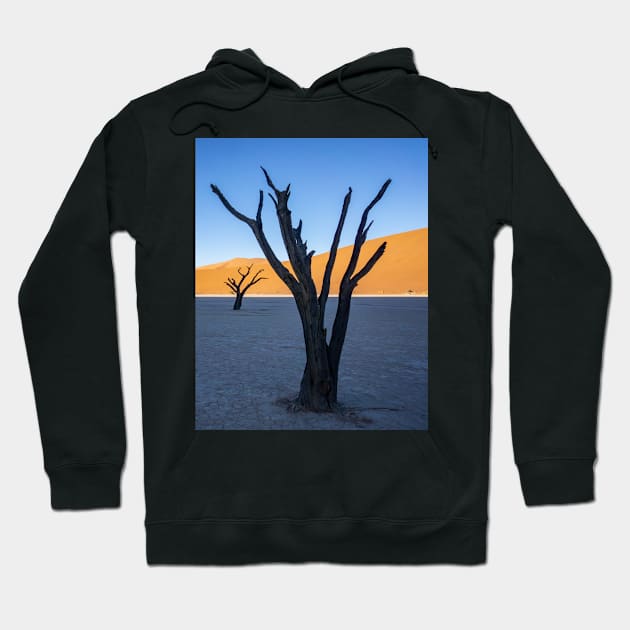 Tree on salt pan. Hoodie by sma1050